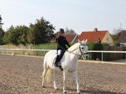2010 Sommerturnering